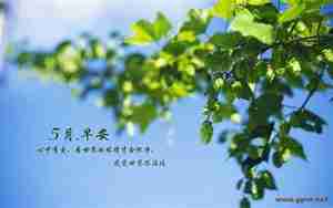 描写五月景色的诗词与句子