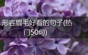 形容女孩眉毛与句子的文字