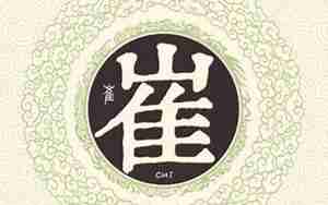 起名姓崔