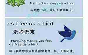 又英文句子有哪些
