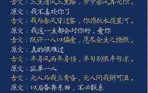 带有齐天大圣表白的句子