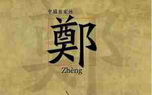 鸡年郑姓宝宝起名大全