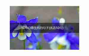 描写下雨烘托忧伤的心情句子