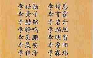 李姓男孩八字取名大全