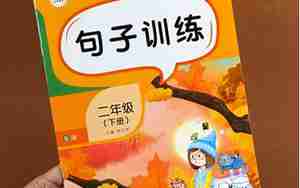小学生句子练习题