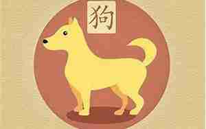 属狗人出生月命运
