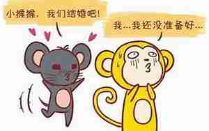 男属猴女属鼠婚姻状况