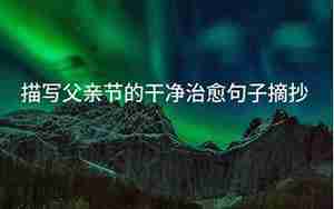 描写父亲动作的句子摘抄