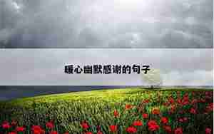 感谢朋友的句子幽默