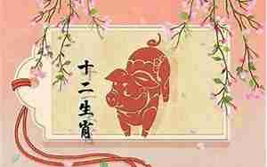 虎年属猪女事业运势
