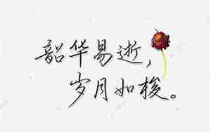 岁月如梭的句子