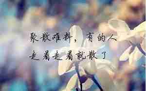 没人体会自己心情的句子