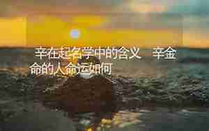 辛金起名