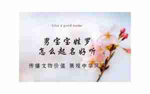 罗怎么起名