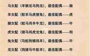算生肖婚姻
