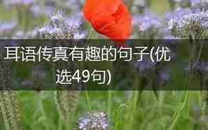 耳语传真有趣的句子
