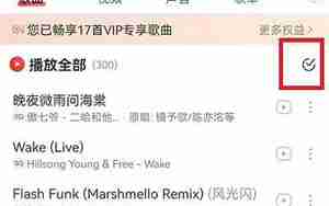 音乐需要删除部分句子