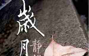 平凡的岁月中好的句子