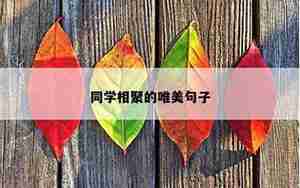 同学相聚别离的句子
