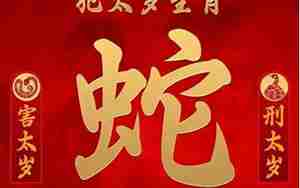 虎年2022运势生肖蛇