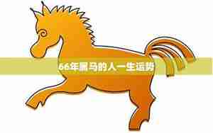 属马的人一生的运势