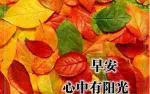 秋天伤感句子说说心情短语