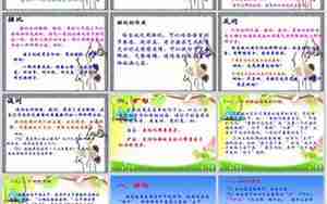 小学语文句子类型