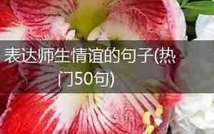 形容师生情谊浓厚的经典句子
