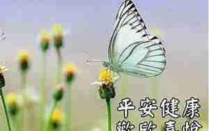 有关早上的唯美句子