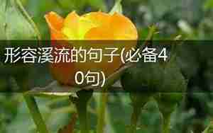 形容溪流的句子有哪些