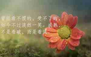 天气美好的心情的句子说说心情短语