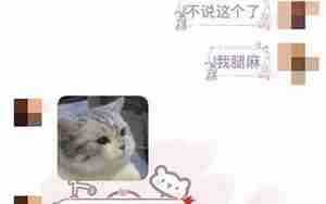 和男朋友聊老吵起来