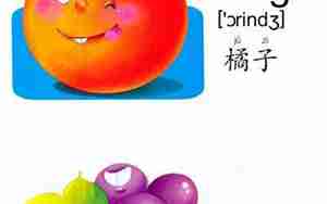 橘子的英文句子怎么写