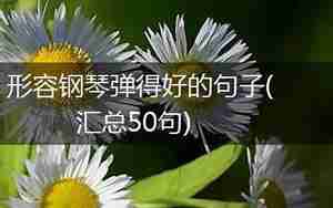 形容钢琴弹的烂的句子