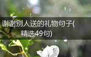 谢谢别人容忍我的句子