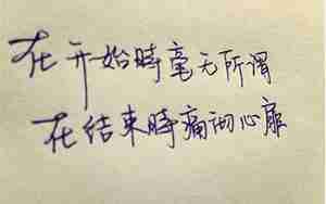 抒发对学校感情的句子