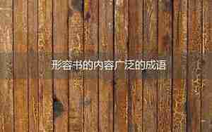 形容书多又好看的句子