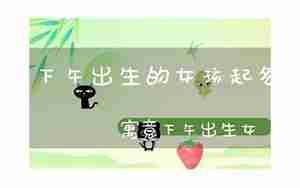 鸡年下午生的女孩起名