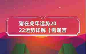 猪人虎年运势2022运势详解