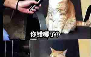 错了不知错在哪的句子