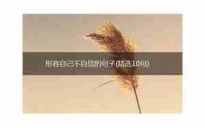 鼓励他人不自信的句子