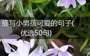 描写小男孩优点的句子