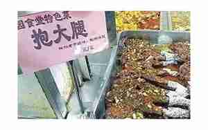 给菜起名大全