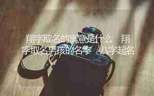 起名翔