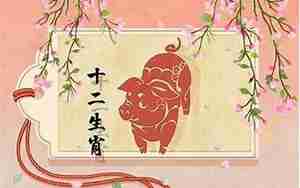 属猪的年运势