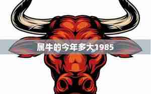 牛人1985年运势