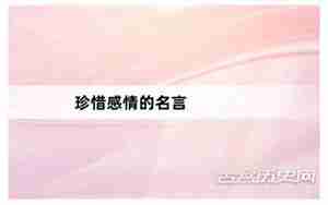 感情句子名言
