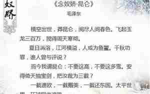 念奴娇表达诗人旷达之情的句子