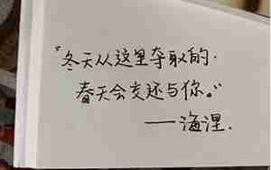 勉强爱一个人的句子
