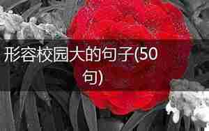 形容校园果树句子